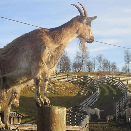 Langedrag Naturpark Villa Tunhovd Kültér fotó