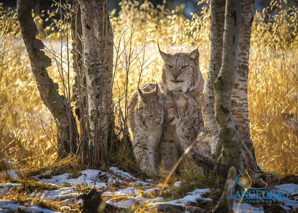 Langedrag Naturpark Villa Tunhovd Kültér fotó