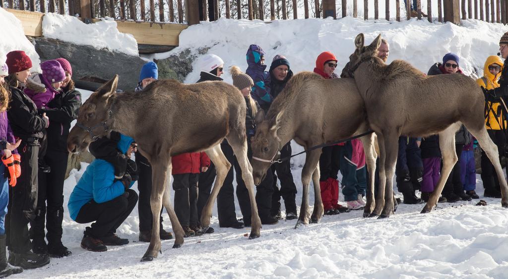 Langedrag Naturpark Villa Tunhovd Kültér fotó