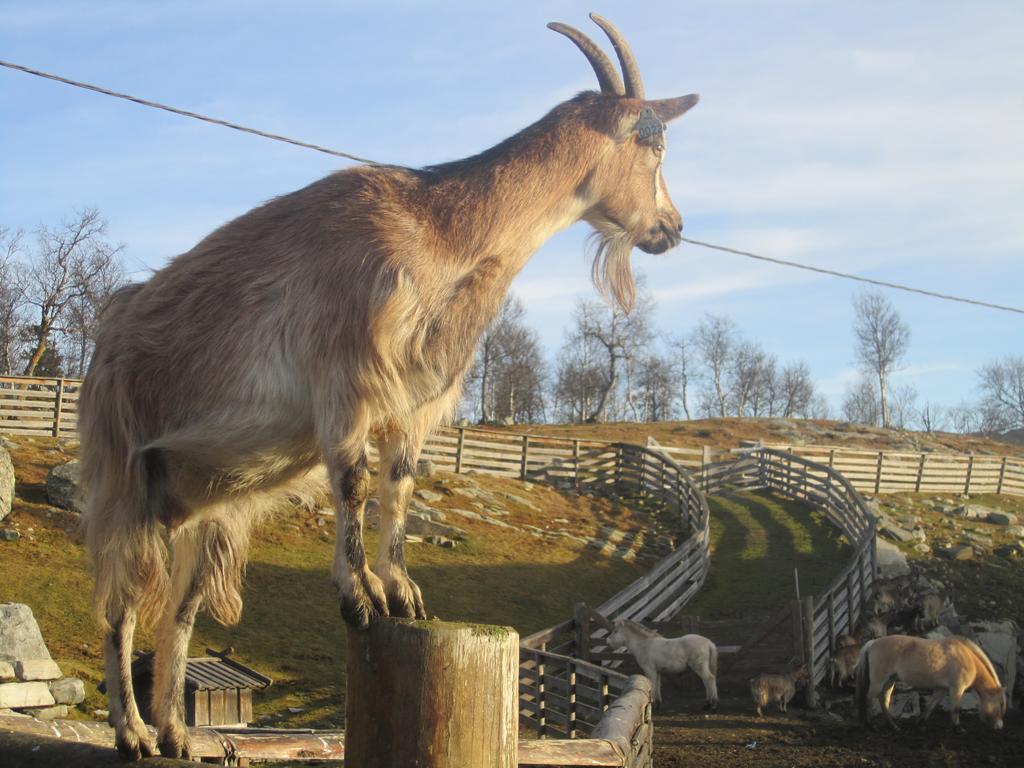 Langedrag Naturpark Villa Tunhovd Kültér fotó