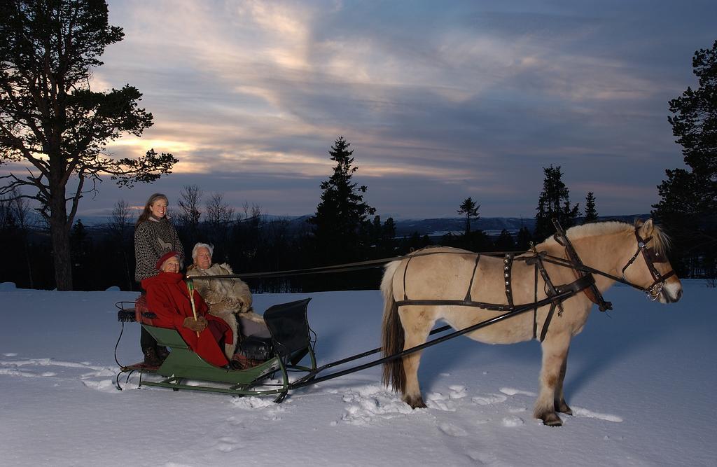 Langedrag Naturpark Villa Tunhovd Kültér fotó