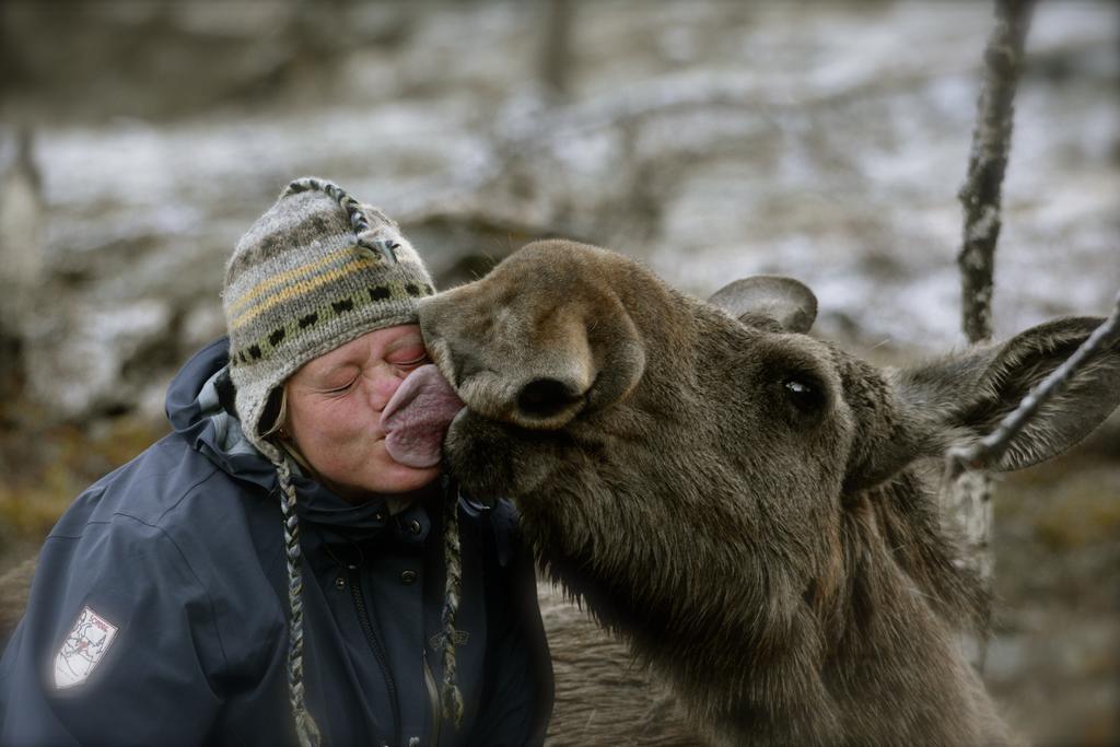 Langedrag Naturpark Villa Tunhovd Kültér fotó