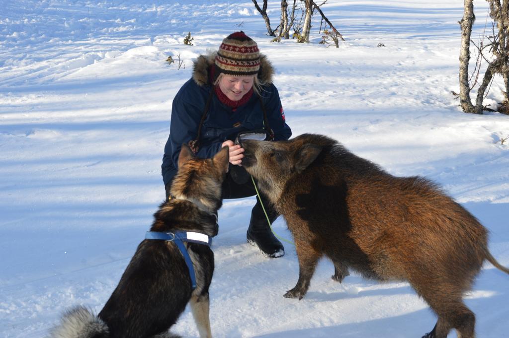 Langedrag Naturpark Villa Tunhovd Kültér fotó