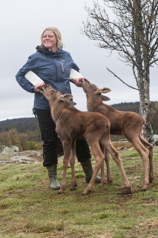 Langedrag Naturpark Villa Tunhovd Kültér fotó