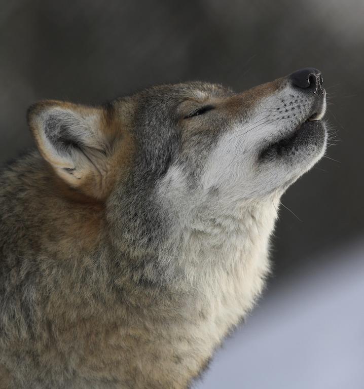 Langedrag Naturpark Villa Tunhovd Kültér fotó