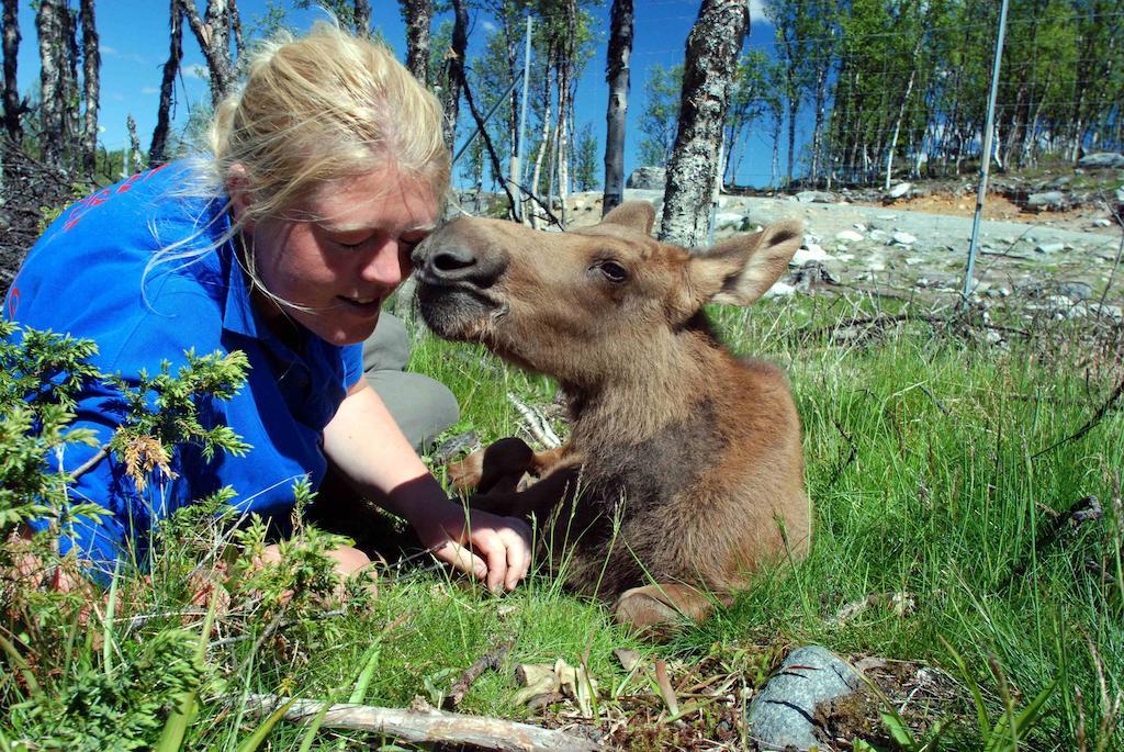 Langedrag Naturpark Villa Tunhovd Kültér fotó