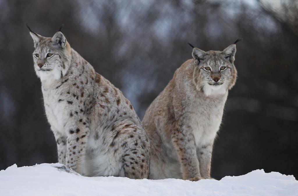 Langedrag Naturpark Villa Tunhovd Kültér fotó