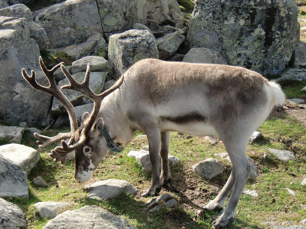 Langedrag Naturpark Villa Tunhovd Kültér fotó